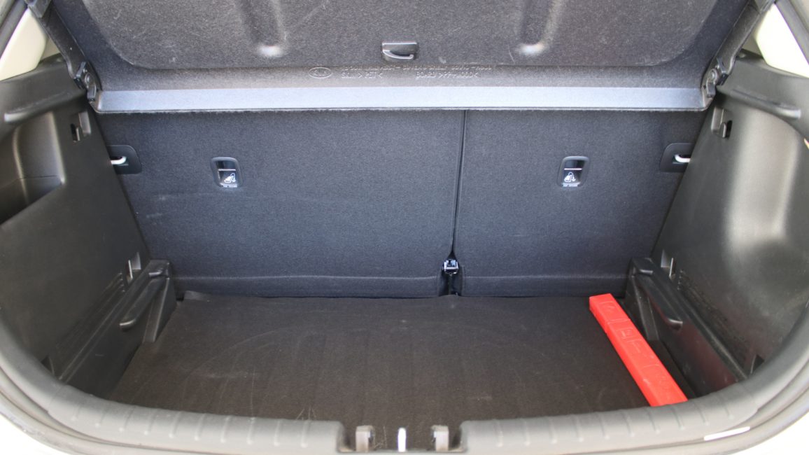Kia Rio 1.2 M WD2952R w leasingu dla firm